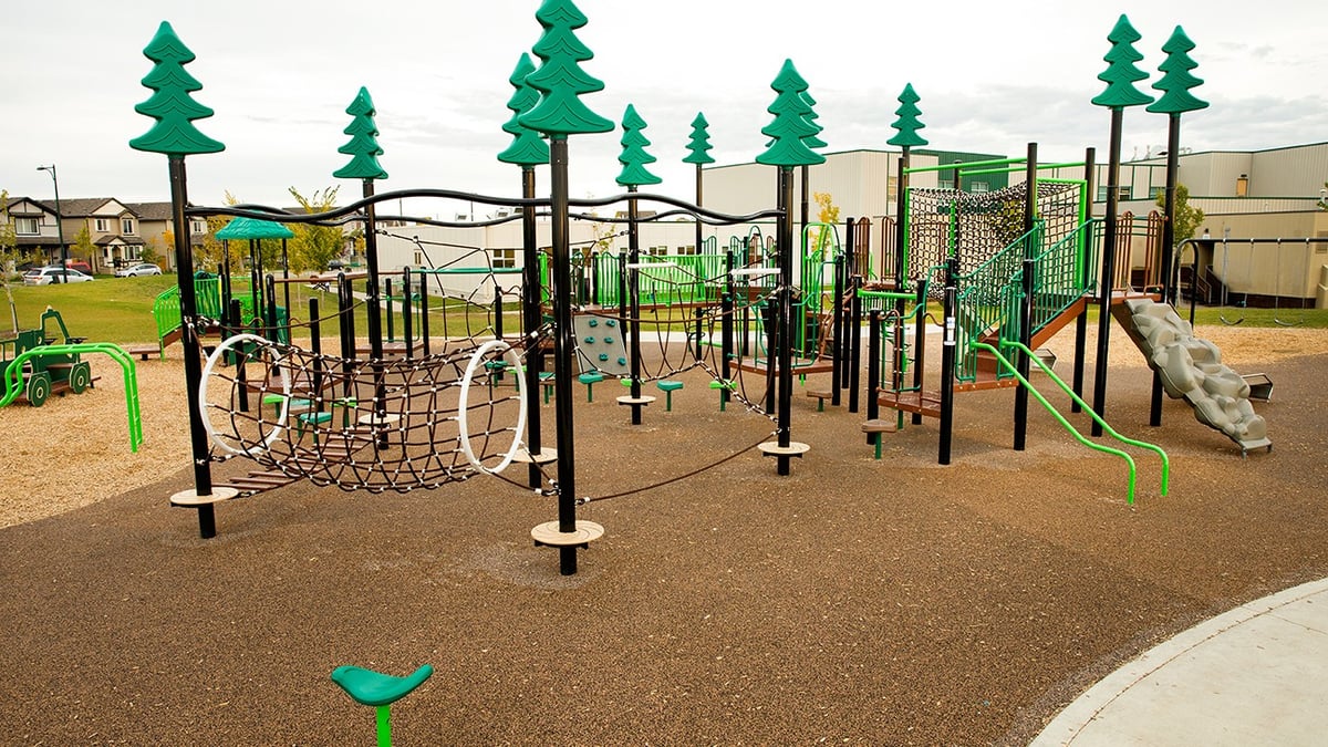 A Blair McPherson School