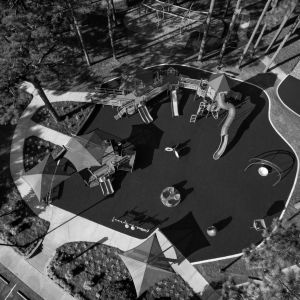 Park In The Woods